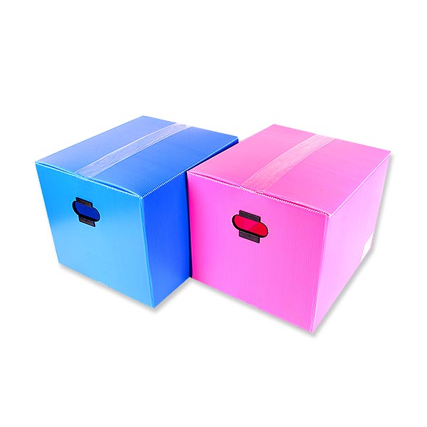 (차량배송)피피박스 단프라 (특대) (50x38x38) 핑크 10p