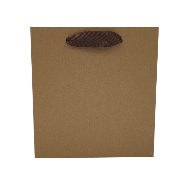 브라운 에코 쇼핑백 1호 20개입(14.4x7x15.4cm)