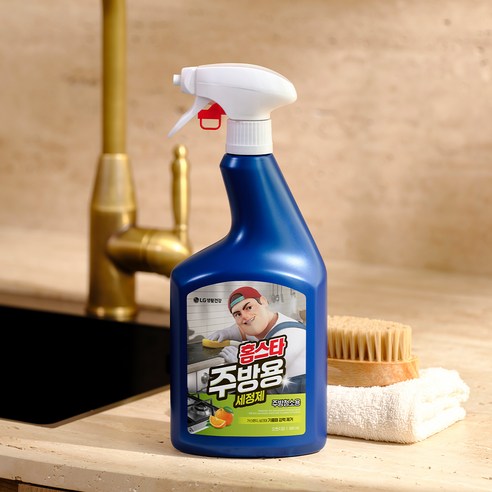 홈스타 주방청소용 세정제 900ml