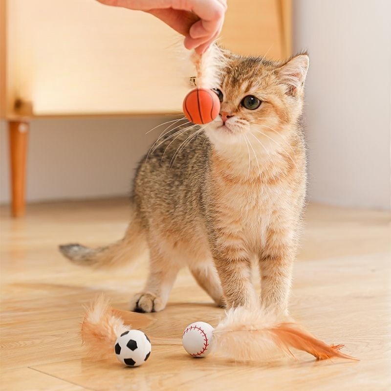 ABM고양이 깃털 탱탱볼 1입 색상랜덤